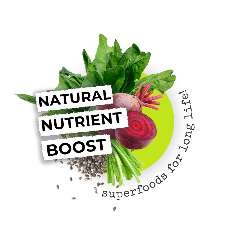 Pawformance Pets creates natural superfood dental treats for dogs.