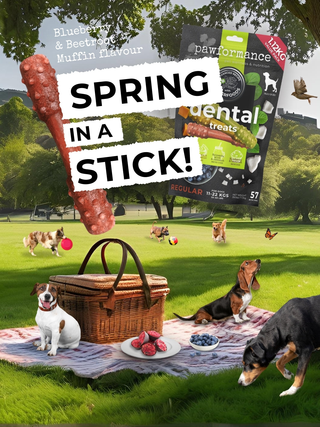 Pawformance Pets creates natural superfood dental treats for dogs.