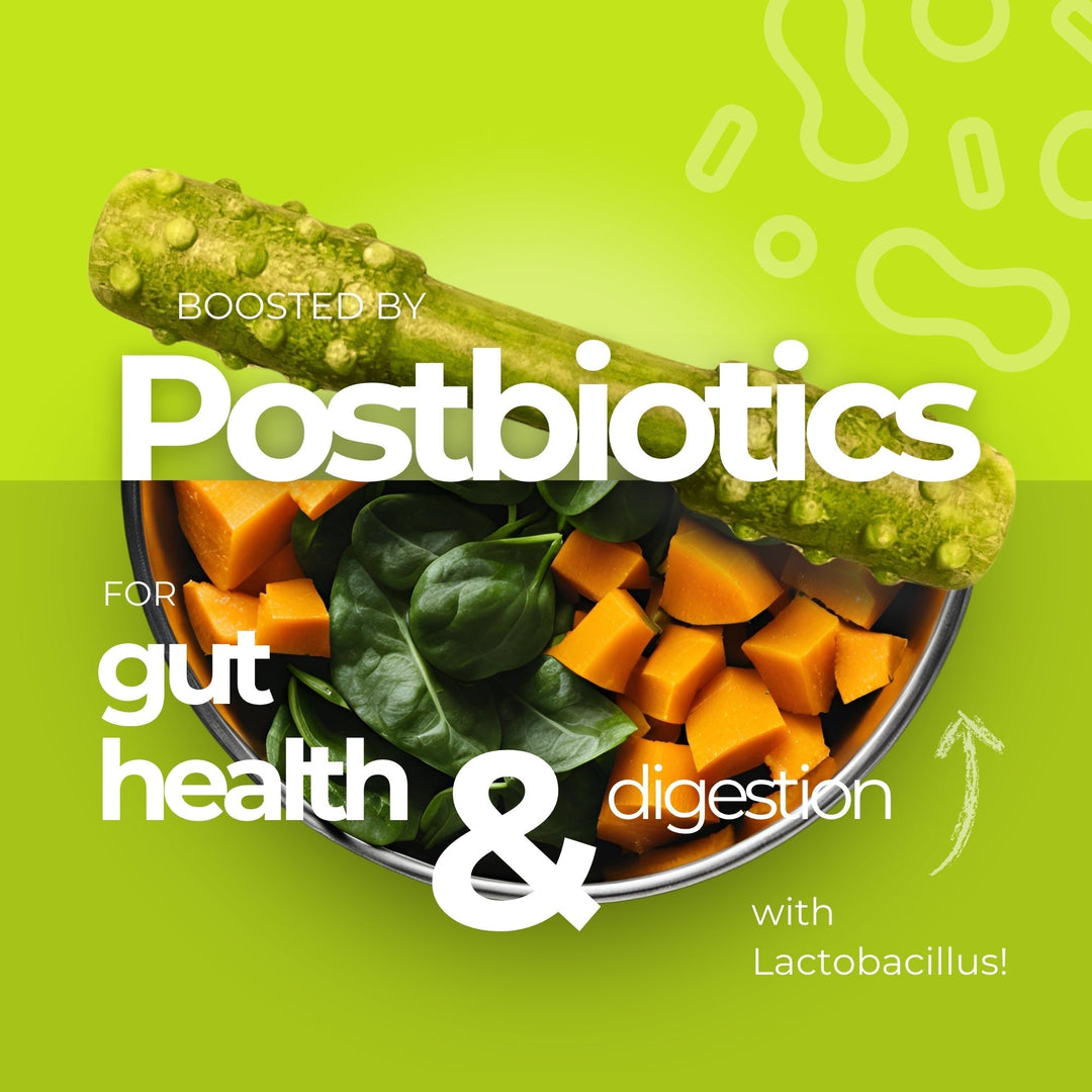 Understanding Prebiotics, Probiotics & Postbiotics for Dogs