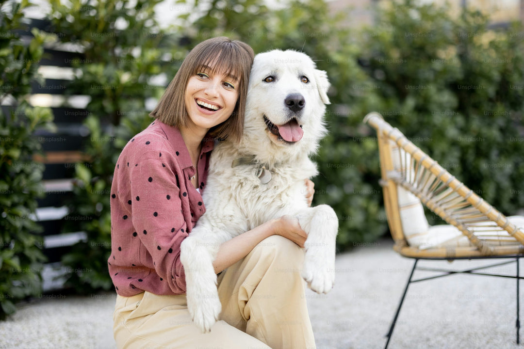 The Importance of Dental Treats for Your Dog’s Health
