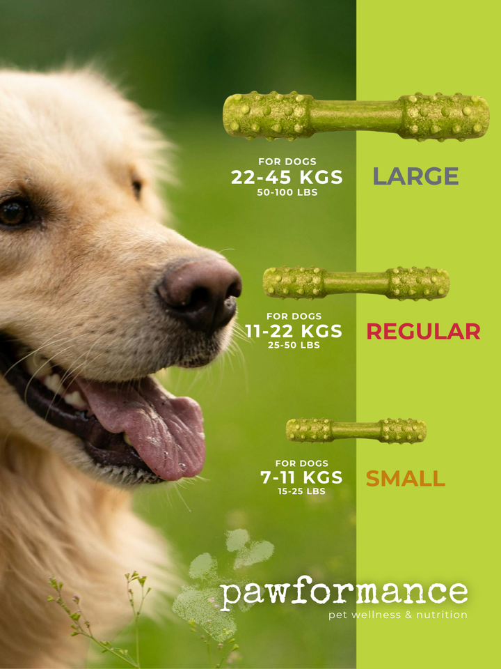 Pawformance Superfoods Dental Treats for Dogs | Value Pack