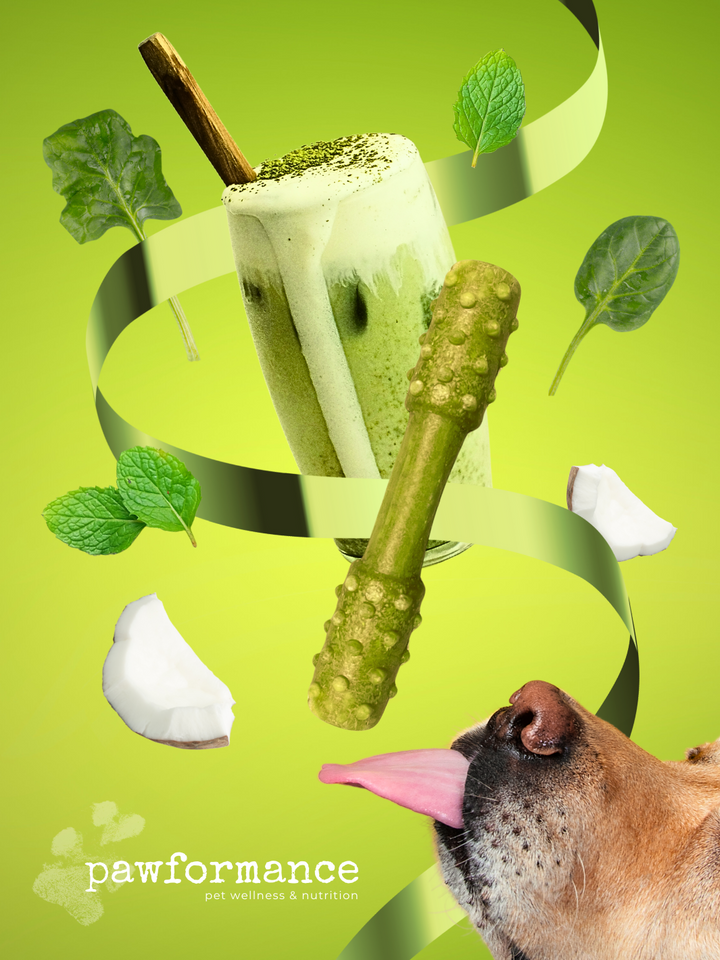 Pawformance Superfoods Dental Treats for Dogs | Value Pack