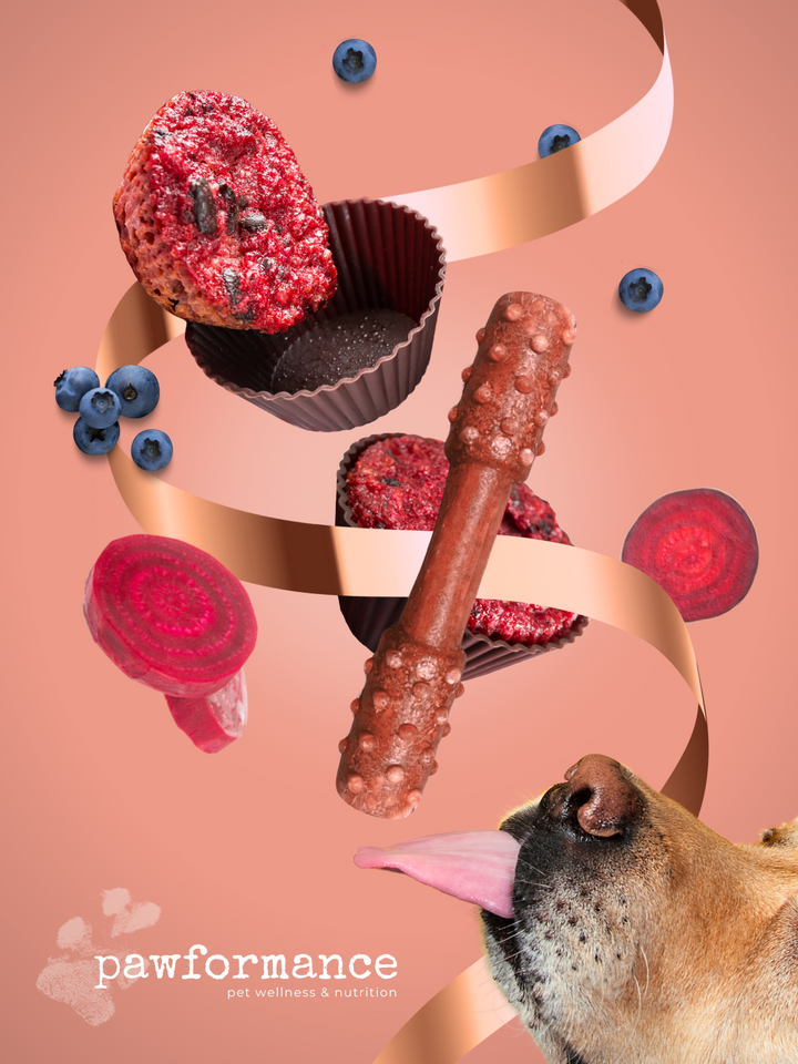 Pawformance Superfoods Dental Treats for Dogs | Value Pack