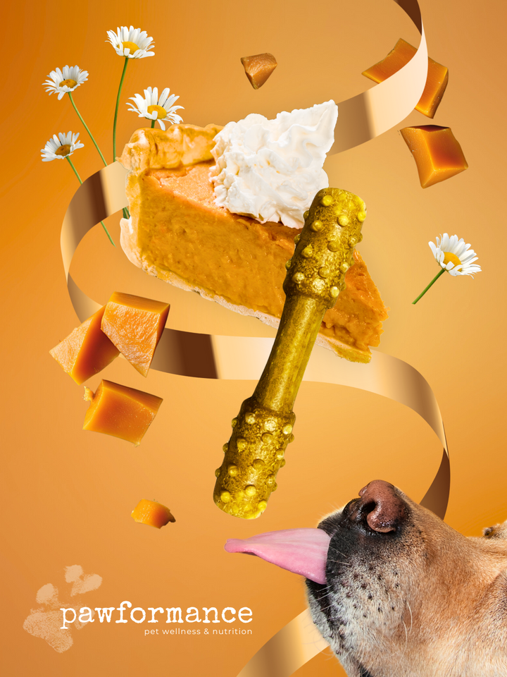 Pawformance Superfoods Dental Treats for Dogs | Value Pack