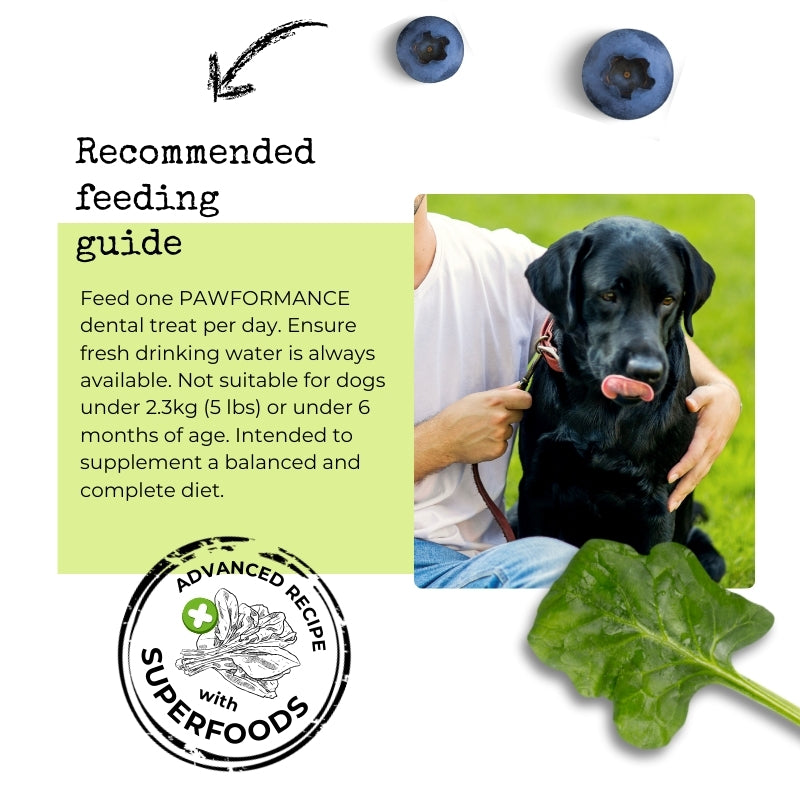Pawformance Pets creates natural superfood dental treats for dogs.