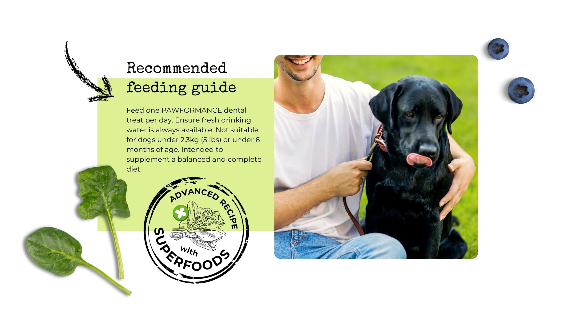 Pawformance Pets creates natural superfood dental treats for dogs.