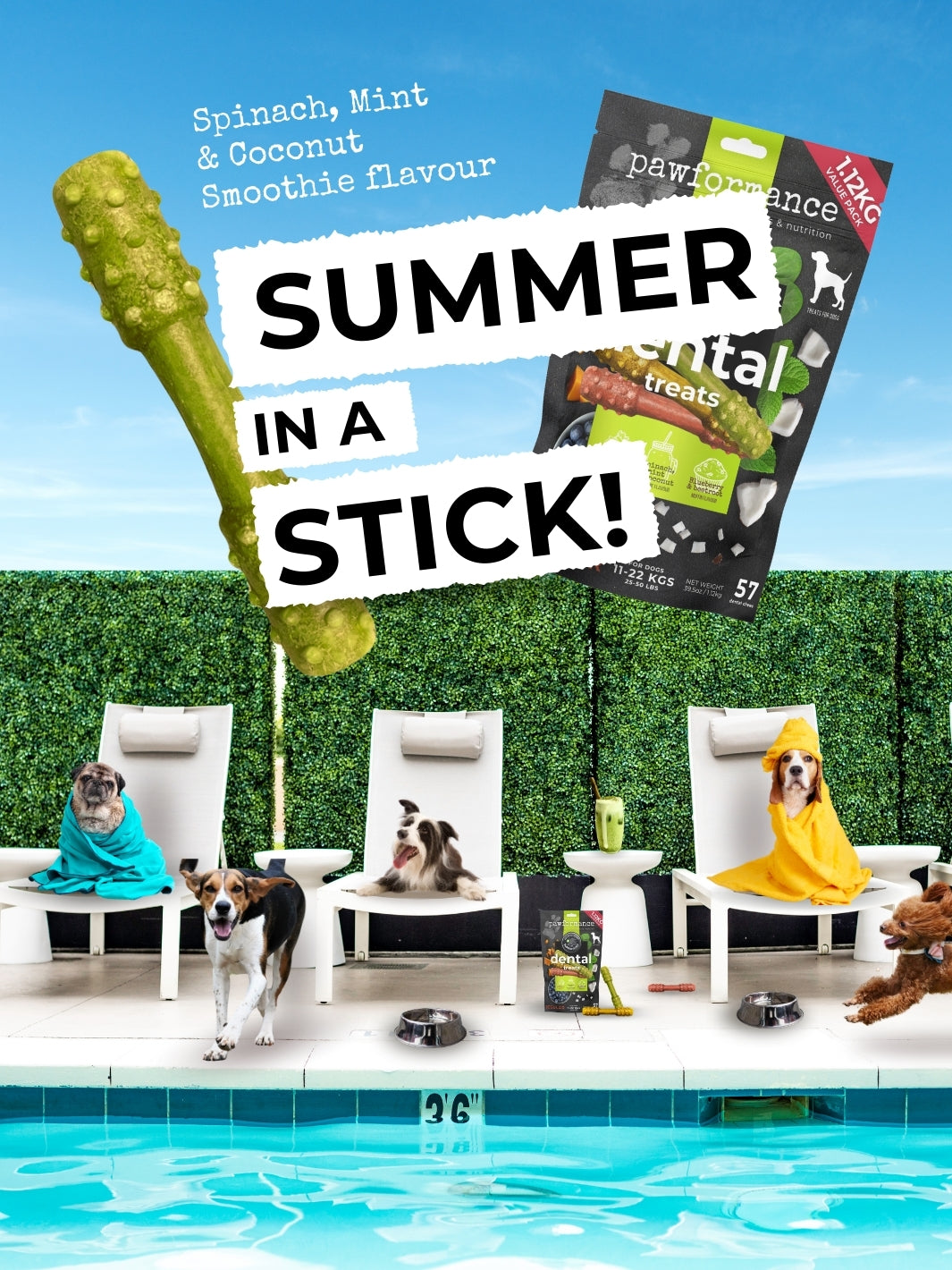 Pawformance Pets creates natural superfood dental treats for dogs.