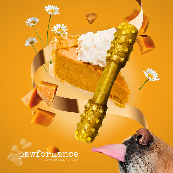 Pumpkin pie slice with a gold bone and dog licking its lips on an orange background, featuring the pawformance brand.