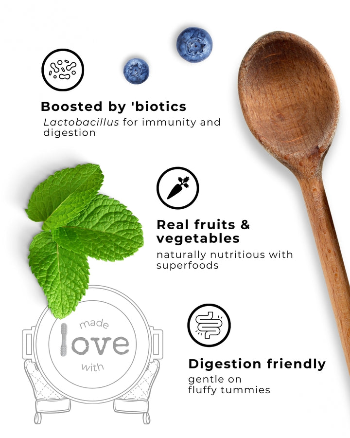 Product packaging with wooden spoon, mint leaves, and blueberries on a white background