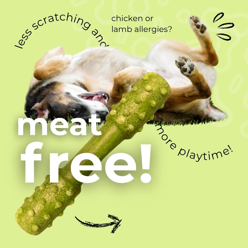 Superfood Dental Treats for Dogs – Pawformance Pets