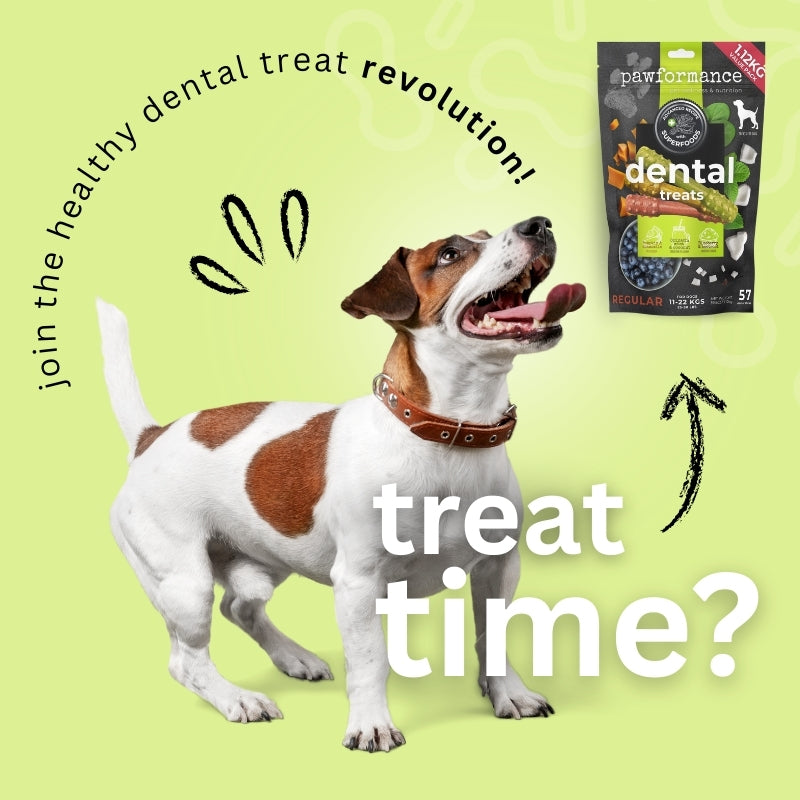 Superfood Dental Treats for Dogs – Pawformance Pets