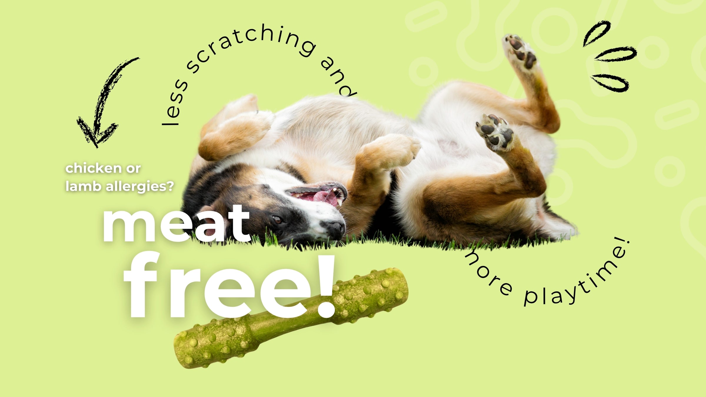 Superfood Dental Treats for Dogs – Pawformance Pets