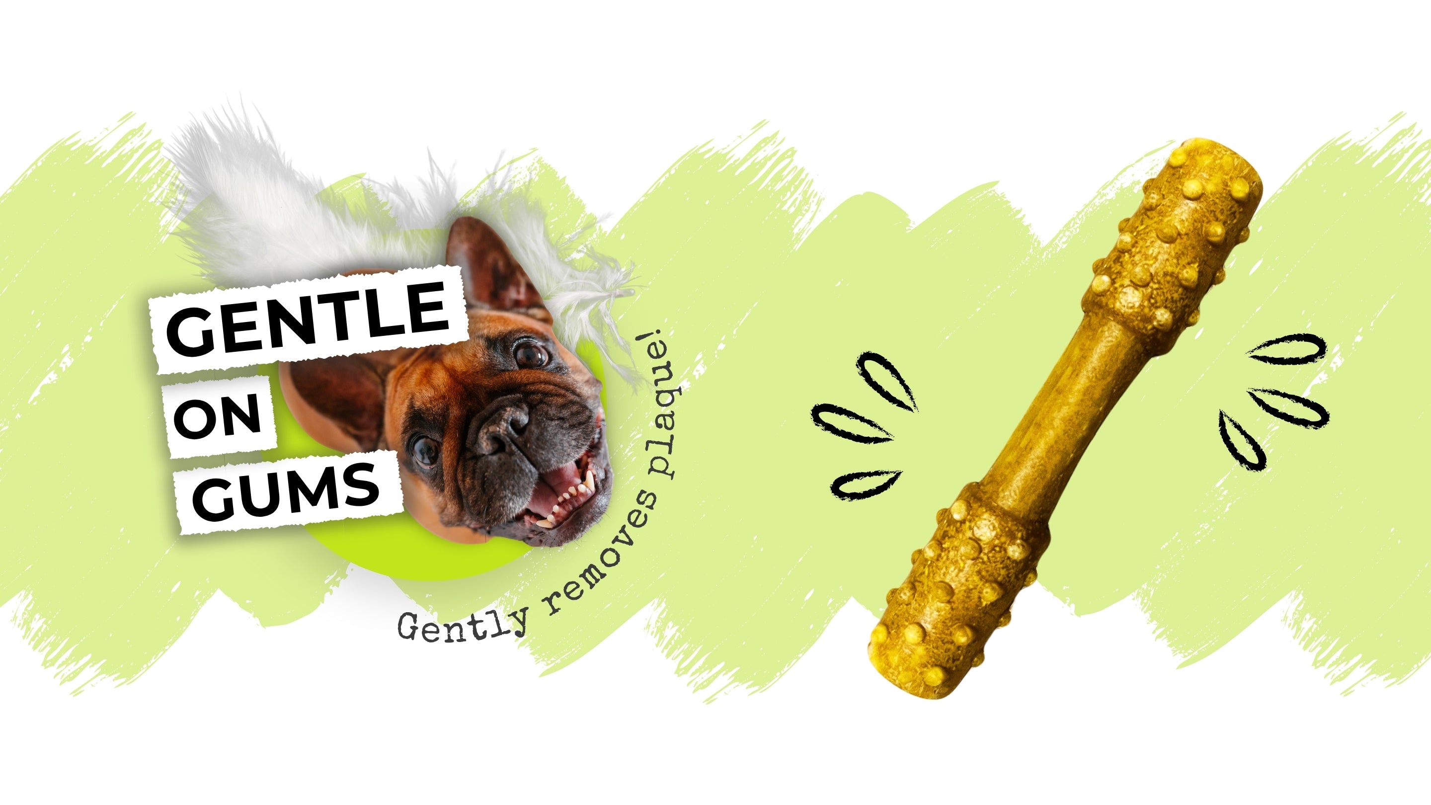 Pawformance Pets creates natural superfood dental treats for dogs.